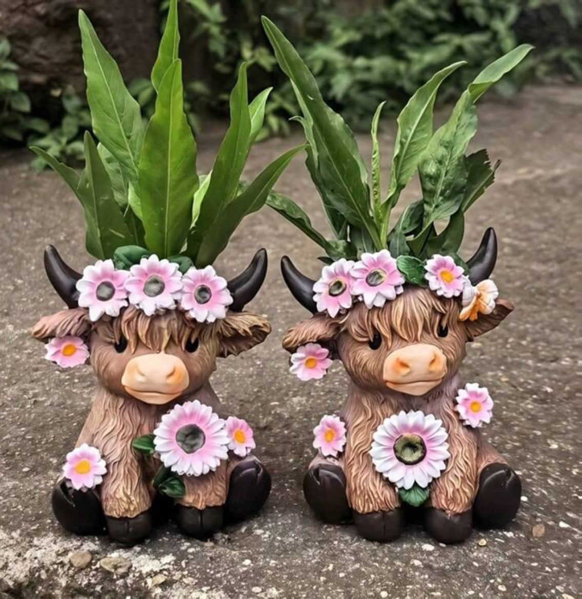 2pc Highland Cow 🐮 plant Pots